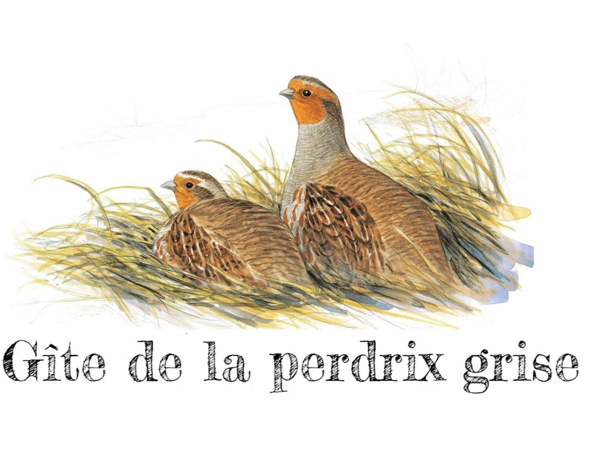 Charmante Maison De Campagne Avec Jardin Prive, Pres De Paris Et Orleans, Ideale Pour Familles - Fr-1-590-136 Audeville Екстериор снимка